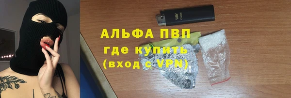 PSILOCYBIN Навашино
