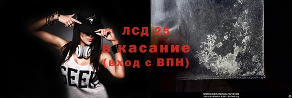 PSILOCYBIN Навашино