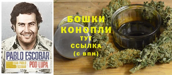 PSILOCYBIN Навашино