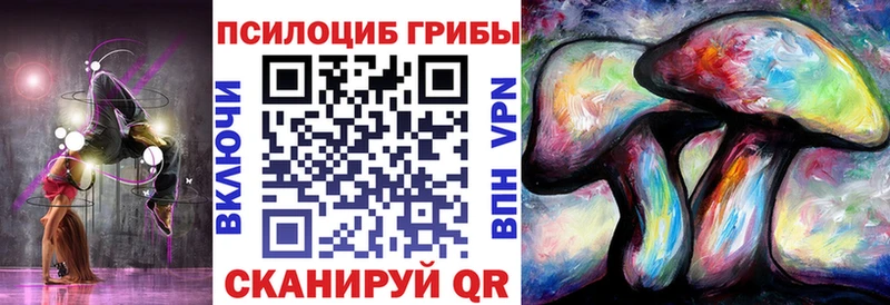 купить закладку  кракен как зайти  Псилоцибиновые грибы мухоморы  Малаховка 